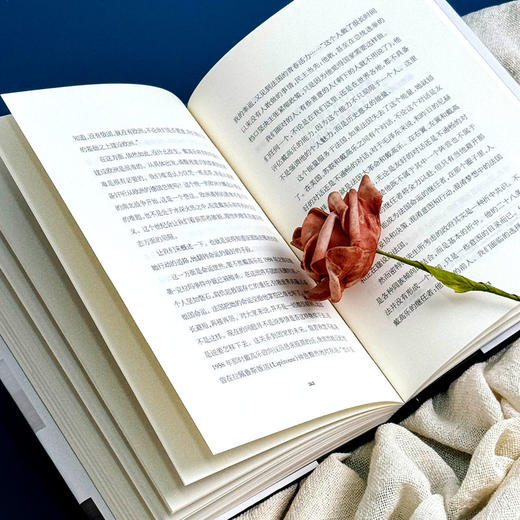 政治与文化 ：安德烈·马尔罗讲演访谈录 1925-1975 轻与重文丛 商品图10