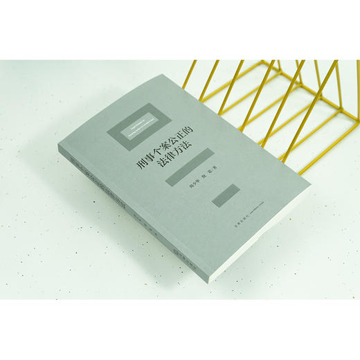 刑事个案公正的法律方法 周少华 倪震著 法律出版社 商品图1