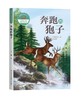 写给孩子的动物传奇小说：奔跑的狍子 商品缩略图0
