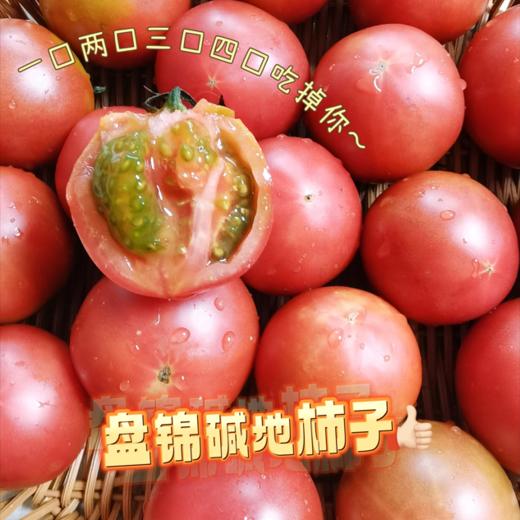 国家地理标志 绿色认证 碱地种植【CCTV推荐-盒马同款盘锦碱地西红柿】高于普通番茄VC含量  顺丰速递 新鲜送到家 商品图2
