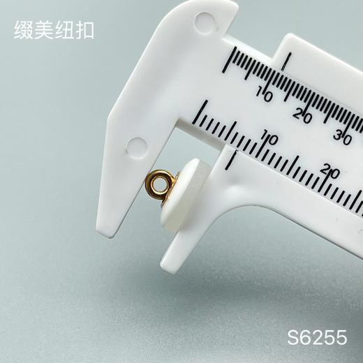 S6255(整包购买) 商品图2