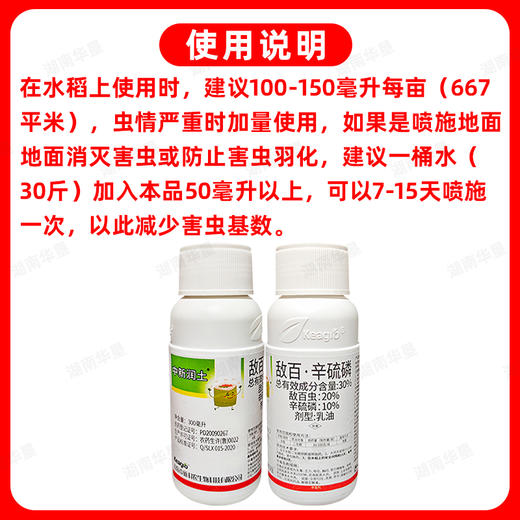 30%敌百辛硫磷敌百虫辛硫磷复配大田作物水稻二化螟专用杀虫剂 商品图5