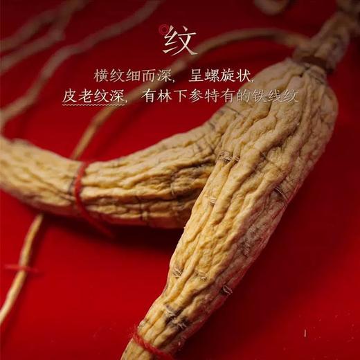 主推【长白山人参】林下山参礼盒5g/盒 商品图3