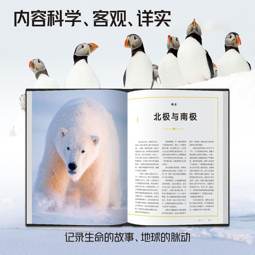 美国国家地理甄选礼盒第一辑(全4册) 商品图3