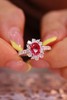 1.02ct 红宝石戒指 商品缩略图2