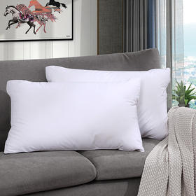 富安娜健康1+1枕（对枕）