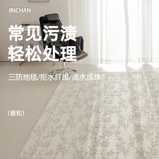 【春和】金蝉重磅三防工艺绒感地毯 商品图0