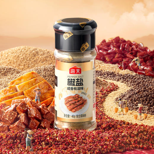 海天孜然粉28g海天椒盐40g烧烤专用香料冷磨留香 商品图2