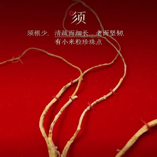 主推【长白山人参】林下山参礼盒5g/盒 商品图2