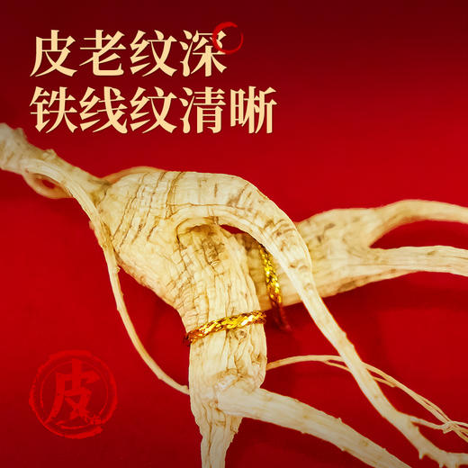 热卖【野山参开窗礼盒】长白山野山参高档礼盒含国检证书东北特产3g/4g/5g 商品图5