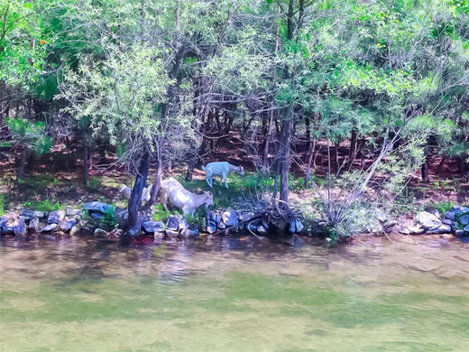 【百里画廊徒步1日】｜轻徒步の莫奈笔下的油画世界-尽享延庆山水画卷 商品图2