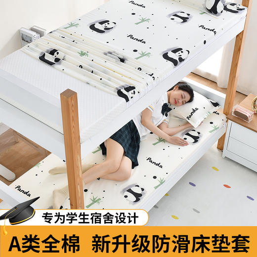 本屋创品2024新款A类全棉硅胶防滑床垫套学生宿舍水洗 商品图0