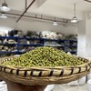 绿豆 消暑良品 五谷杂粮 新鲜 精选营养 中药材 商品缩略图1