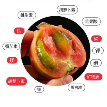 国家地理标志 绿色认证 碱地种植【CCTV推荐-盒马同款盘锦碱地西红柿】高于普通番茄VC含量  顺丰速递 新鲜送到家 商品图4