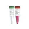 AccurSTART One Step RT-PCR Kit (Dye Plus) 商品缩略图0