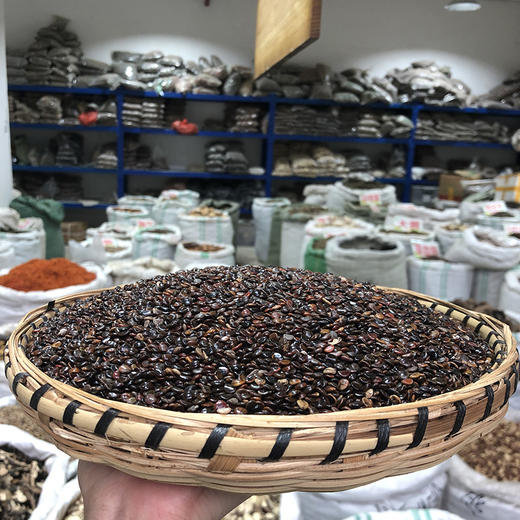 枳椇子  枳具子 商品图1