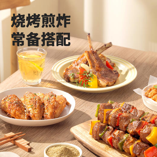 海天孜然粉28g海天椒盐40g烧烤专用香料冷磨留香 商品图3