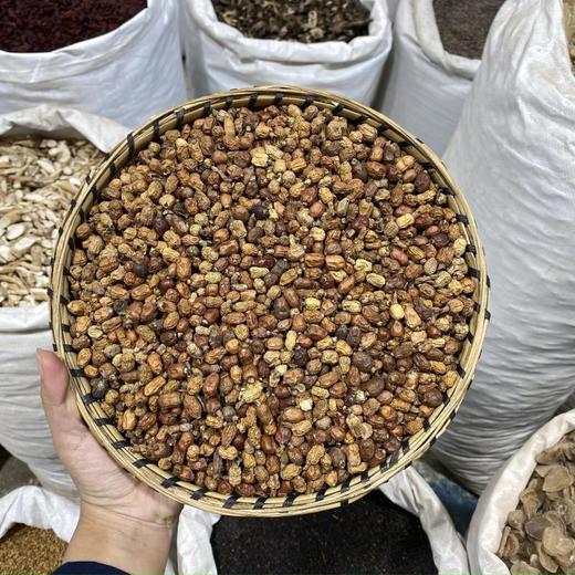 红豆蔻 商品图0