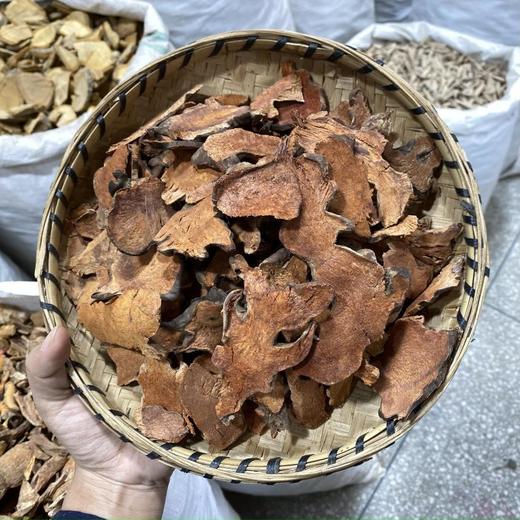 金刚藤   菝葜 商品图0