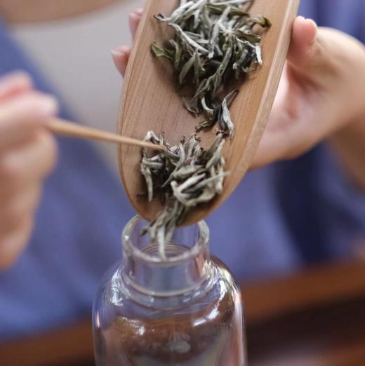 2025新茶魏老师栀子花银针,栀子花红茶,古法窖制非遗传承人魏老师纯手工窖制,香气清幽高雅 茶味清新自然！茶汤入口  沁春染夏  清新与馥郁兼具  带来独特的味觉享受 商品图10