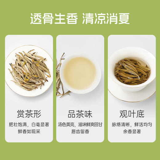华祥庄园-茉莉花茶口粮装40g 商品图3