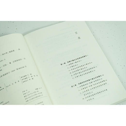 刑事个案公正的法律方法 周少华 倪震著 法律出版社 商品图2