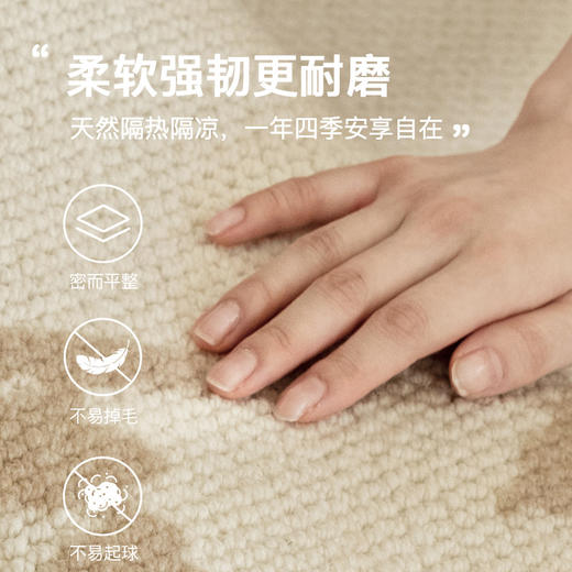 【花影】金蝉新西兰优质羊毛混纺地毯 商品图1