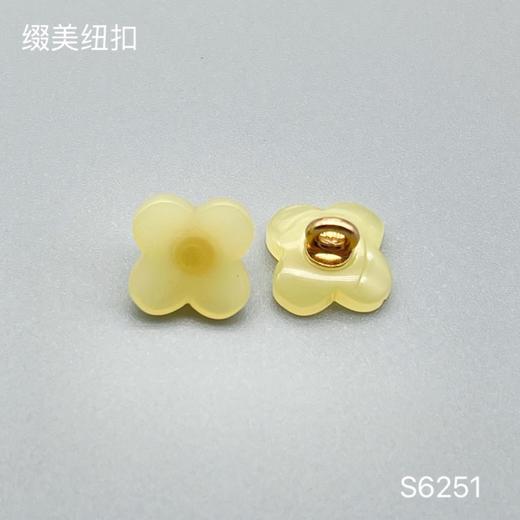 S6251(整包购买) 商品图4