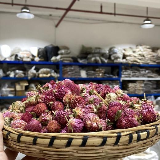 千日红 商品图1