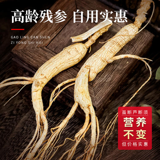 热售【林下参残参礼盒】吉林长白山林下参参残志坚营养不减20g 商品图4