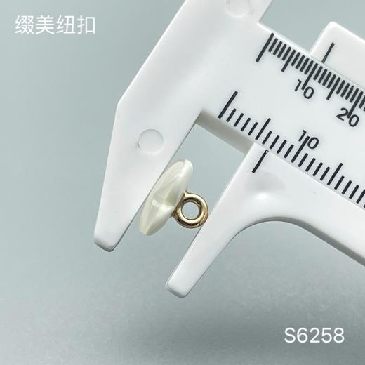 S6258(整包购买) 商品图2