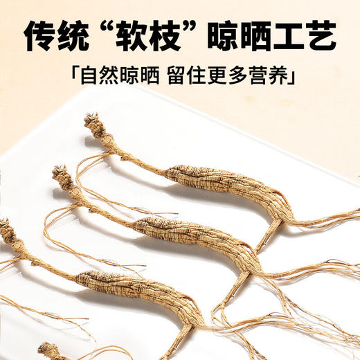 【正宗同仁堂品牌】北京同仁堂 林下山参1.51-2.5g/B 约1.95克 自然参香味足 长白山脉原产 应季手工采挖 自然晾晒SY 商品图6