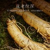 热售【保鲜参礼盒15支】长白山保鲜参正品礼盒装100g15支 商品缩略图2