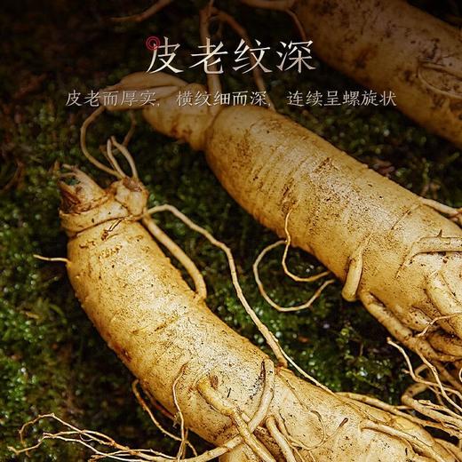 热售【保鲜参礼盒15支】长白山保鲜参正品礼盒装100g15支 商品图2