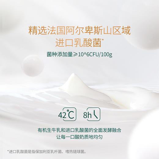 蒙牛 圣牧全程有机酸奶200ml*10瓶/箱 商品图2