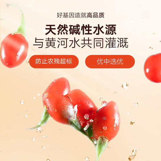 【正宗同仁堂品牌】北京同仁堂 枸杞子-特优216g（6g/袋*36袋）独立包装 六次人工调选 优中择优SY 商品图5