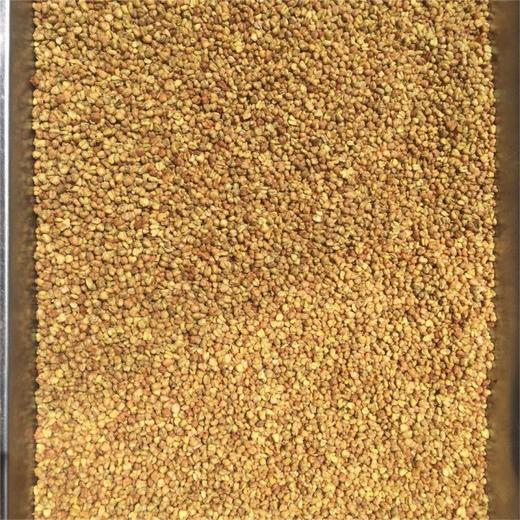 苦荞茶 商品图0