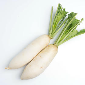 【云南有机白萝卜】检测报告