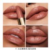 【订单实付低于299元，不发货】娇兰 臻彩宝石缎光唇膏11  G044099-F 商品缩略图1