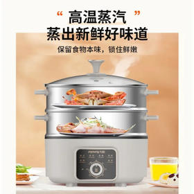Joyoung九阳（13233）DZ50HG-GZ355多功能家用电热锅不锈电蒸锅
