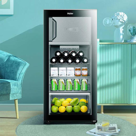 海尔（Haier）133升双温家用客厅办公室冷藏柜暖藏冰吧 茶叶饮料蔬果保鲜柜囤货DS0133LH69D1 商品图5