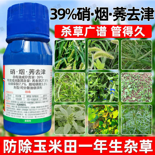 玉米苗后封闭除草剂36%硝烟莠去津三元复配专除玉米田杂草除草剂 商品图2