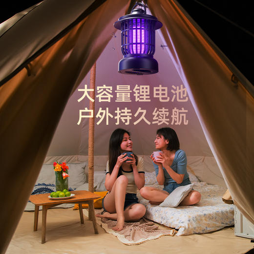【既是小夜灯也是灭蚊灯】灭蚊灯户外灭蚊家用物理电击驱蚊器充电室外照明灭蚊灯，USB电源接口,可直接 连接充电宝、电脑、插头插座使用。ry 商品图2
