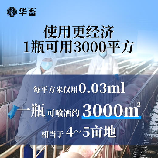 华畜苍蝇药氯氟醚菊酯养殖猪场专用室内灭蚊蝇克星喷雾驱赶杀虫剂 商品图1