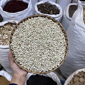 橘核 生橘核 桔核