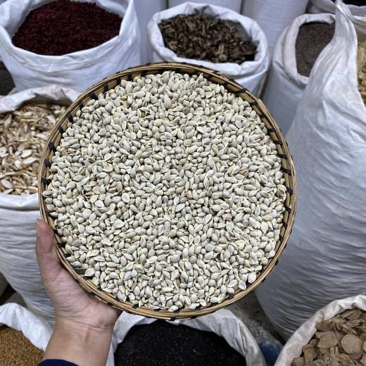 橘核 生橘核 桔核 商品图0