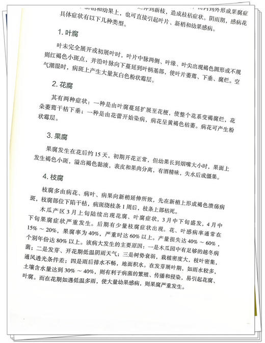 中国药用木瓜 葛月宾 彭华胜 中药学 中国木瓜属植物历史科学信息基础研究及应用 木本类药材专著 中国中医药出版社9787513287883 商品图4