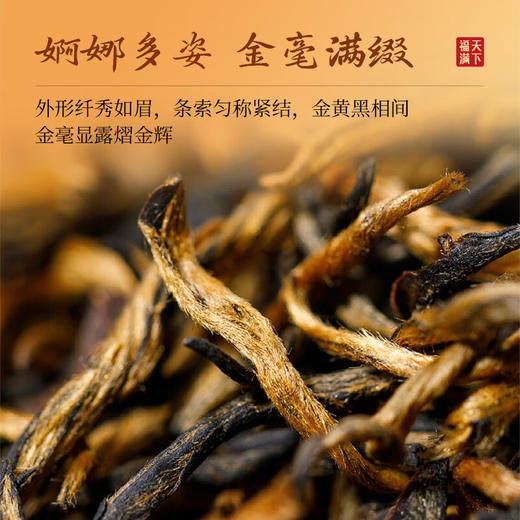 宝福林福满天下·金骏眉 商品图2