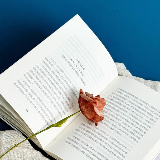 政治与文化 ：安德烈·马尔罗讲演访谈录 1925-1975 轻与重文丛 商品图7