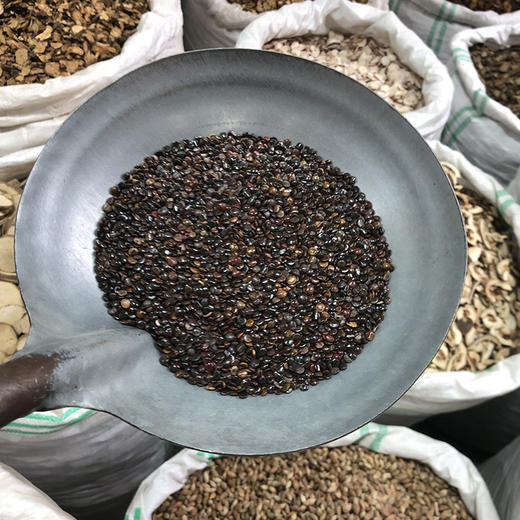 枳椇子  枳具子 商品图3